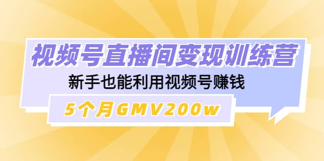 视频号直播间变现训练营-天天资源网