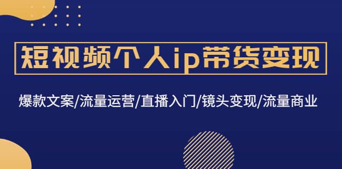 短视频个人ip带货变现：爆款文案/流量运营/直播入门/镜头变现/流量商业-天天资源网