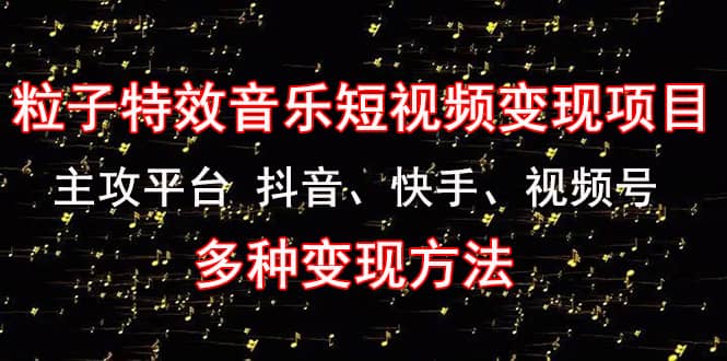 《粒子特效音乐短视频变现项目》主攻平台 抖音、快手、视频号 多种变现方法-天天资源网