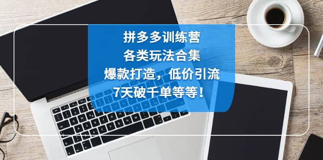 拼多多训练营：各玩法合集，爆款打造，低价引流，7天破千单等等-天天资源网