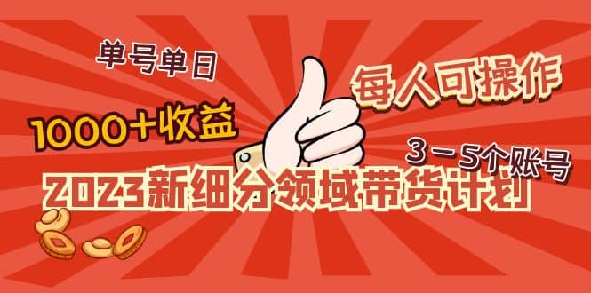 2023新细分领域带货计划：单号单日1000 收益不难，每人可操作3-5个账号-天天资源网