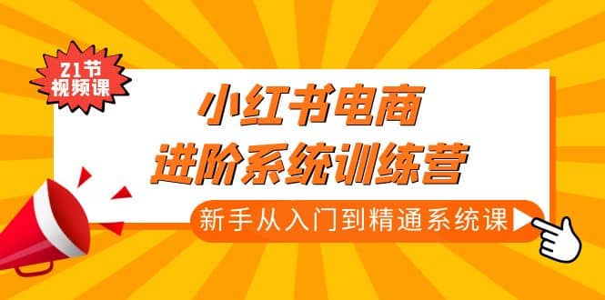 小红书电商进阶系统训练营：新手从入门到精通系统课（21节视频课）-天天资源网