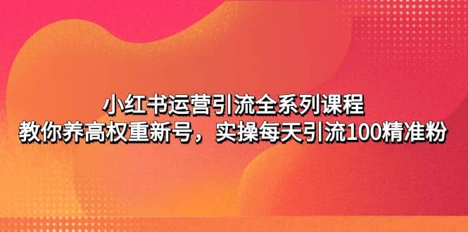 小红书运营引流全系列课程：教你养高权重新号-天天资源网