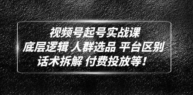 视频号起号实战课：底层逻辑 人群选品 平台区别 话术拆解 付费投放等-天天资源网