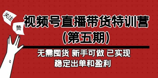 视频号直播带货特训营（第五期）无需囤货 新手可做 已实现稳定出单和盈利-天天资源网