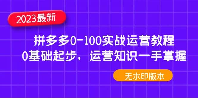 2023拼多多0-100实战运营教程，0基础起步，运营知识一手掌握（无水印）-天天资源网