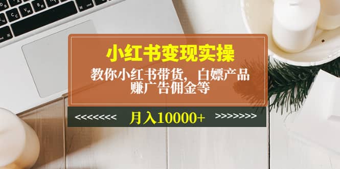 小红书变现实操：教你小红书带货，白嫖产品，赚广告佣金等-天天资源网