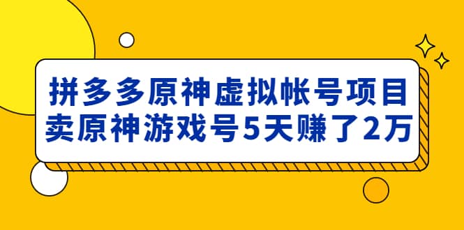 外面卖2980的拼多多原神虚拟帐号项目-天天资源网