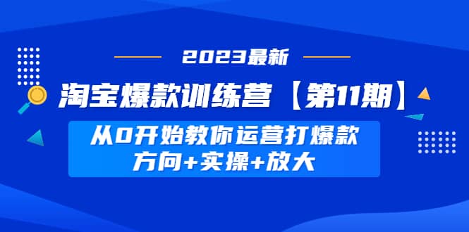 淘宝爆款训练营【第11期】 从0开始教你运营打爆款，方向 实操 放大-天天资源网