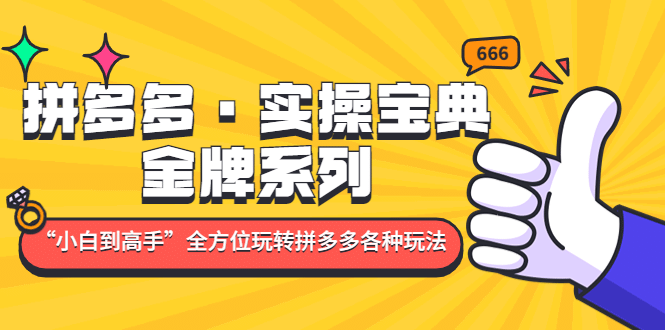 拼多多·实操宝典：金牌系列“小白到高手”带你全方位玩转拼多多各种玩法-天天资源网