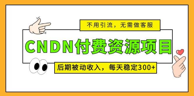 CNDN付费资源项目，不用引流，无需做客服，后期被动收入-天天资源网