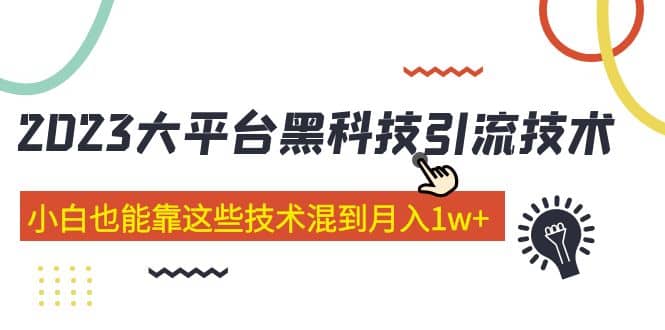 价值4899的2023大平台黑科技引流技术 29节课-天天资源网