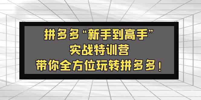 拼多多“新手到高手”实战特训营：带你全方位玩转拼多多-天天资源网