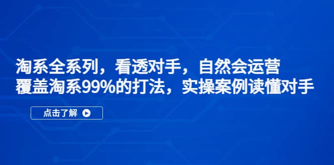 淘系全系列，看透对手，自然会运营，覆盖淘系99%·打法，实操案例读懂对手-天天资源网