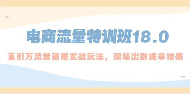 电商流量特训班18.0，直引万流量破局实操玩法，现场出数据拿结果-天天资源网