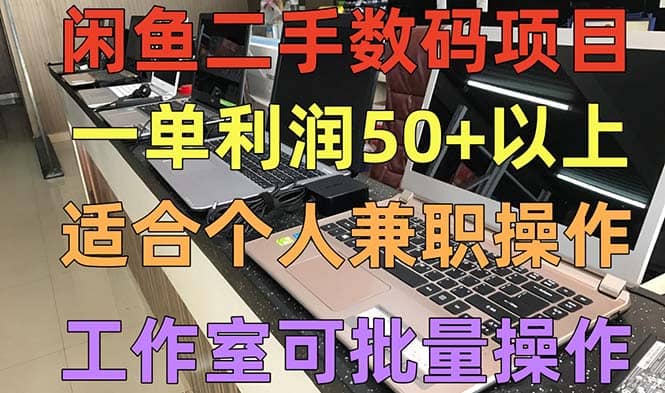 闲鱼二手数码项目，个人副业低保收入，工作室批量放大操作-天天资源网