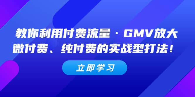 教你利用付费流量·GMV放大，微付费、纯付费的实战型打法-天天资源网