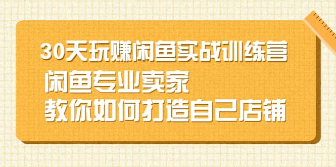 30天玩赚闲鱼实战训练营，闲鱼专业卖家教你如何打造自己店铺-天天资源网