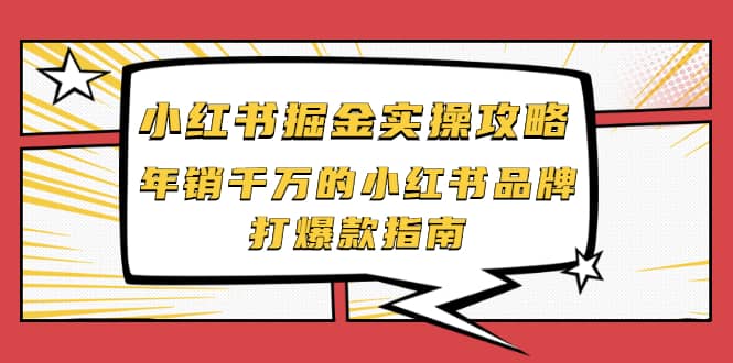 小红书掘金实操攻略，年销千万的小红书品牌打爆款指南-天天资源网