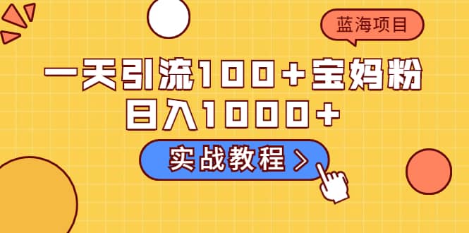 一天引流100 宝妈粉，日入1000 的蓝海项目（实战教程）-天天资源网