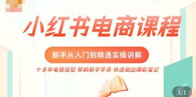 小红书电商新手入门到精通实操课，从入门到精通做爆款笔记，开店运营-天天资源网