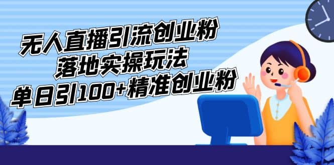 外面收费3980的无人直播引流创业粉落地实操玩法，单日引100 精准创业粉-天天资源网