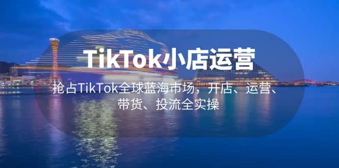 TikTok小店运营 抢占TikTok全球蓝海市场，开店、运营、带货、投流全实操-天天资源网