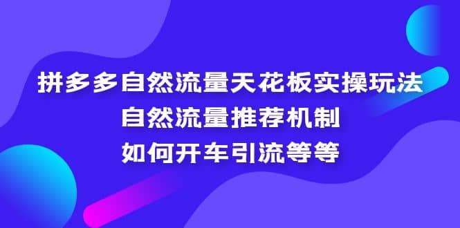 拼多多自然流量天花板实操玩法：自然流量推荐机制，如何开车引流等等-天天资源网