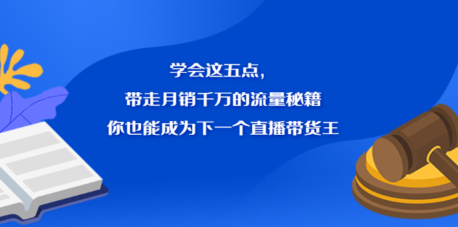 学会这五点，带走月销千万的流量秘籍，你也能成为下一个直播带货王-天天资源网