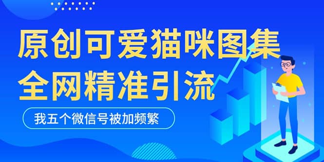 黑科技纯原创可爱猫咪图片，全网精准引流，实操5个VX号被加频繁-天天资源网