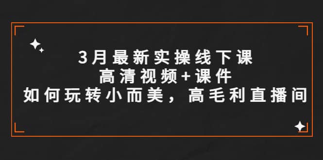 3月最新实操线下课高清视频 课件，如何玩转小而美，高毛利直播间-天天资源网