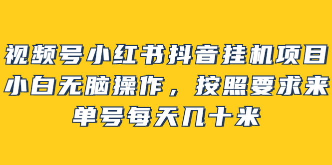 视频号小红书抖音挂机项目，小白无脑操作，按照要求来，单号每天几十米-天天资源网