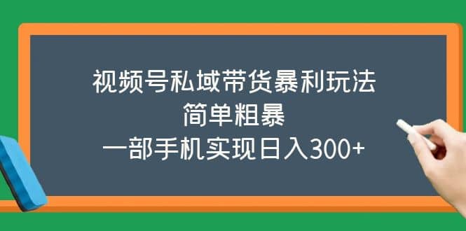 视频号私域带货暴利玩法，简单粗暴-天天资源网