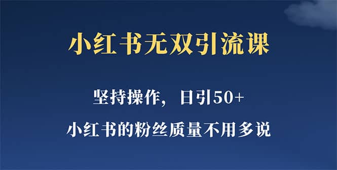 小红书无双课一天引50 女粉，不用做视频发视频，小白也很容易上手拿到结果-天天资源网