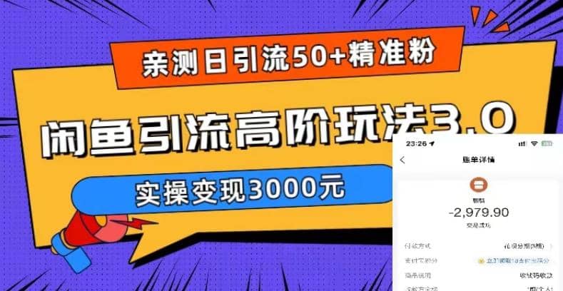 实测日引50 精准粉，闲鱼引流高阶玩法3.0，实操变现3000元-天天资源网