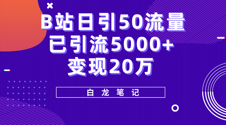 B站日引50 流量，实战已引流5000 变现20万，超级实操课程-天天资源网