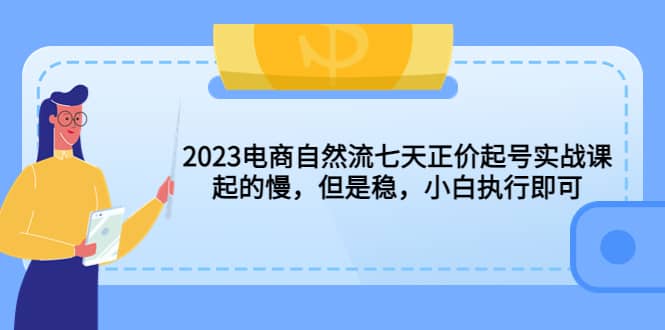 2023电商自然流七天正价起号实战课：起的慢，但是稳，小白执行即可-天天资源网