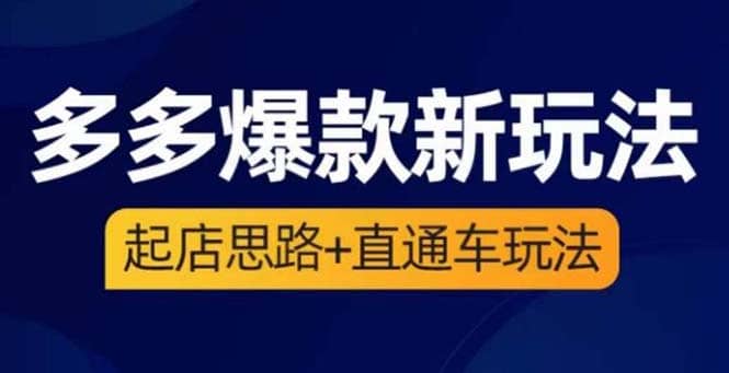 2023拼多多爆款·新玩法：起店思路 直通车玩法（3节精华课）-天天资源网