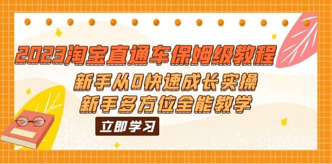 2023淘宝直通车保姆级教程：新手从0快速成长实操，新手多方位全能教学-天天资源网