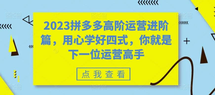 2023拼多多高阶运营进阶篇，用心学好四式，你就是下一位运营高手-天天资源网