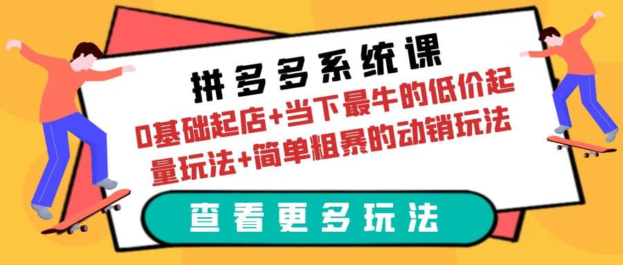 拼多多系统课：0基础起店 当下最牛的低价起量玩法 简单粗暴的动销玩法-天天资源网