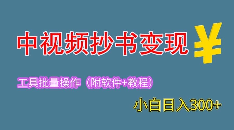 2023中视频抄书变现（附工具 教程），一天300 ，特别适合新手操作的副业-天天资源网