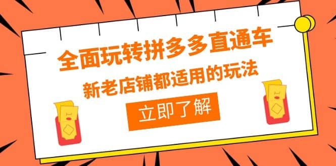 全面玩转拼多多直通车，新老店铺都适用的玩法（12节精华课）-天天资源网