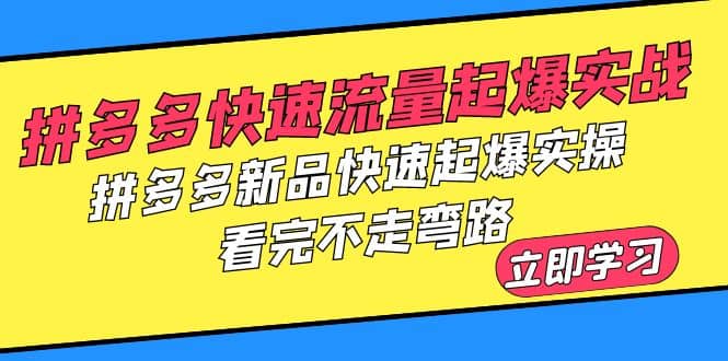 拼多多-快速流量起爆实战，拼多多新品快速起爆实操，看完不走弯路-天天资源网