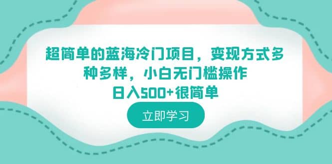 超简单的蓝海冷门项目，变现方式多种多样，小白无门槛操作日入500 很简单-天天资源网