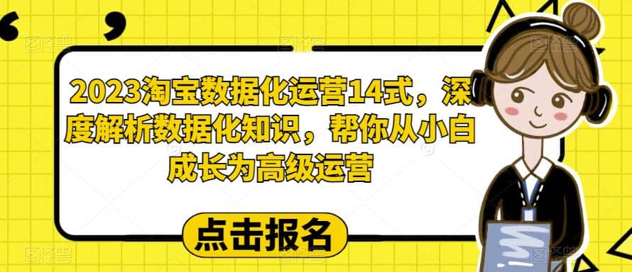 2023淘宝数据化-运营 14式，深度解析数据化知识，帮你从小白成长为高级运营-天天资源网