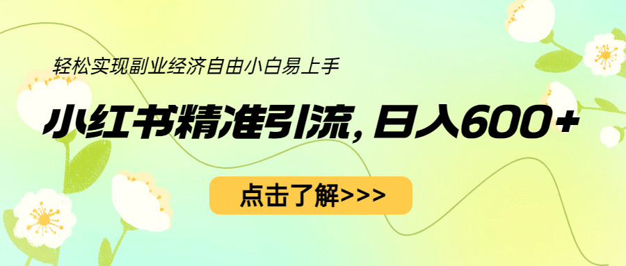 小红书精准引流，小白日入600 ，轻松实现副业经济自由（教程 1153G资源）-天天资源网