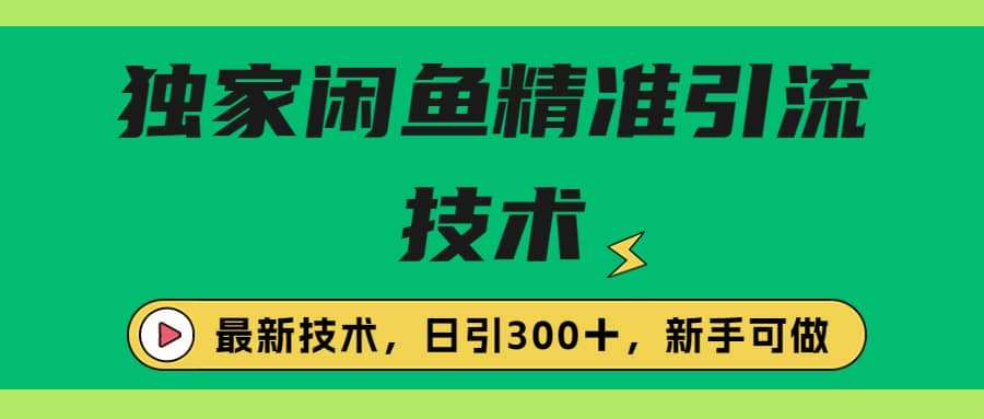 独家闲鱼引流技术，日引300＋实战玩法-天天资源网