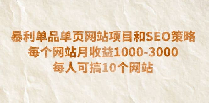 暴利单品单页网站项目和SEO策略 每个网站月收益1000-3000 每人可搞10个-天天资源网