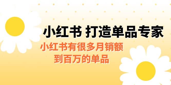 某公众号付费文章《小红书 打造单品专家》小红书有很多月销额到百万的单品-天天资源网